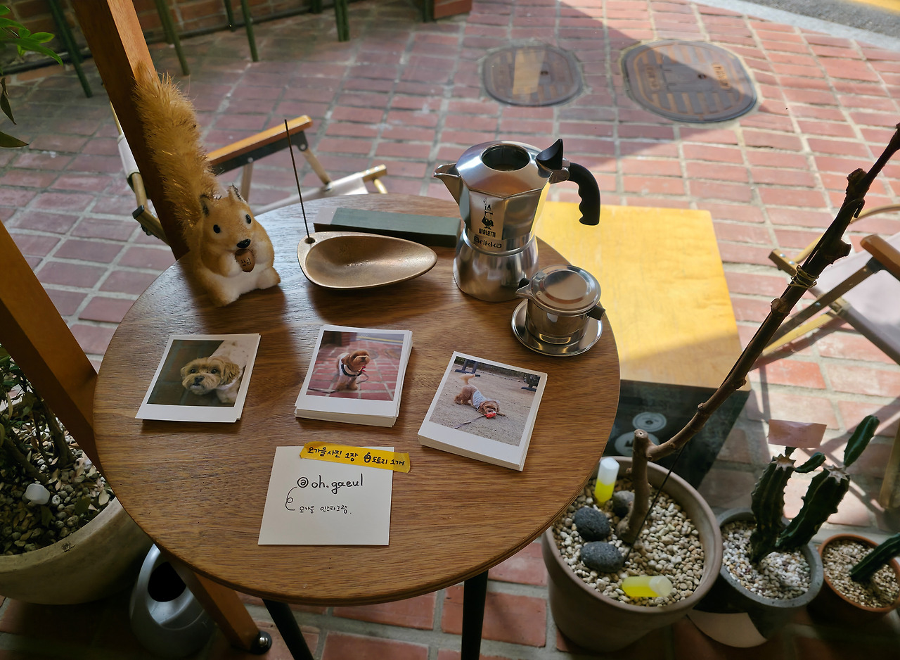 반려견 동반 가능한 카페 - 소이유지