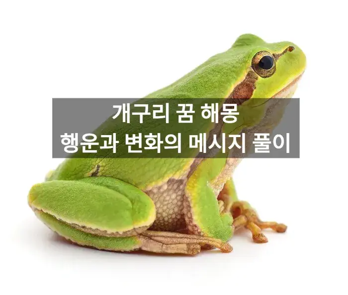 개구리 꿈 해몽