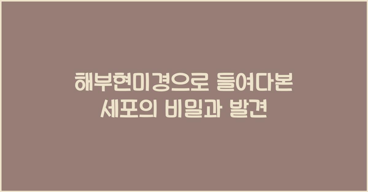 해부현미경