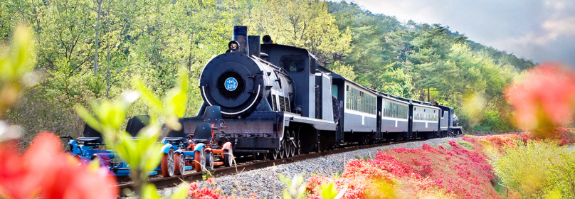 곡성 섬진강기차마을 - 기차체험·장미축제·입장료 총정리