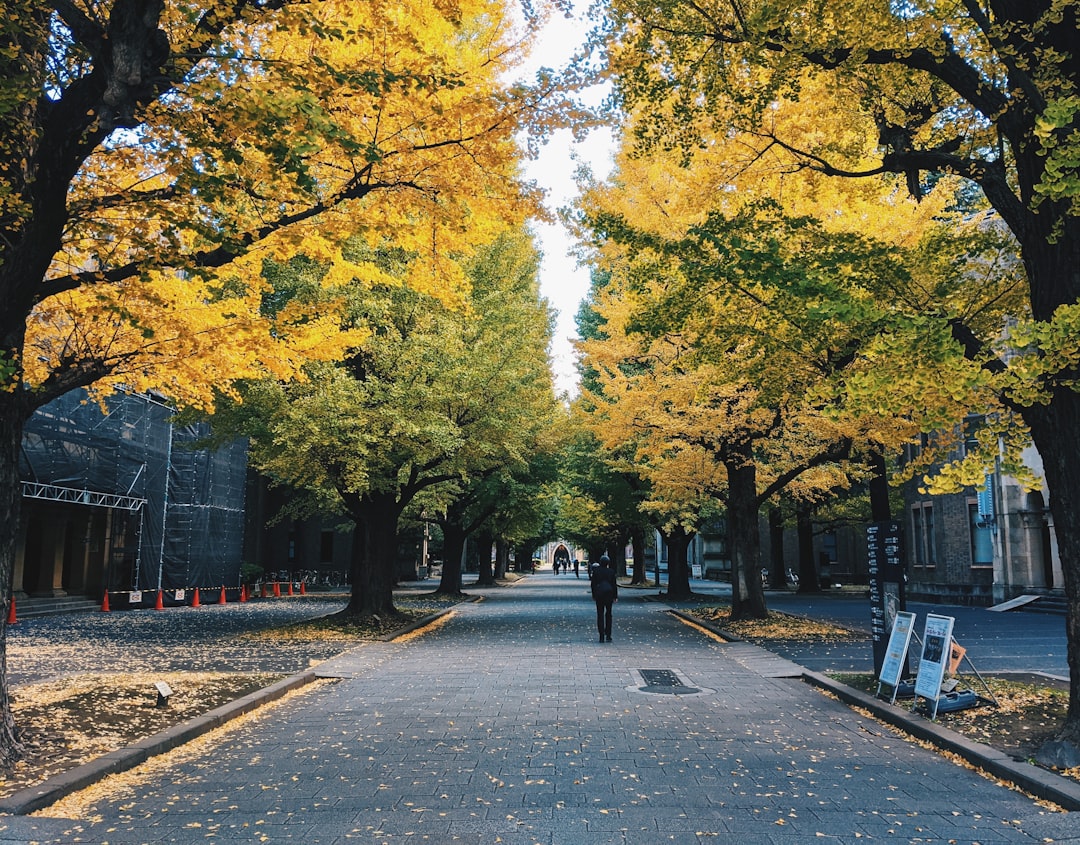 Ginkgo.
