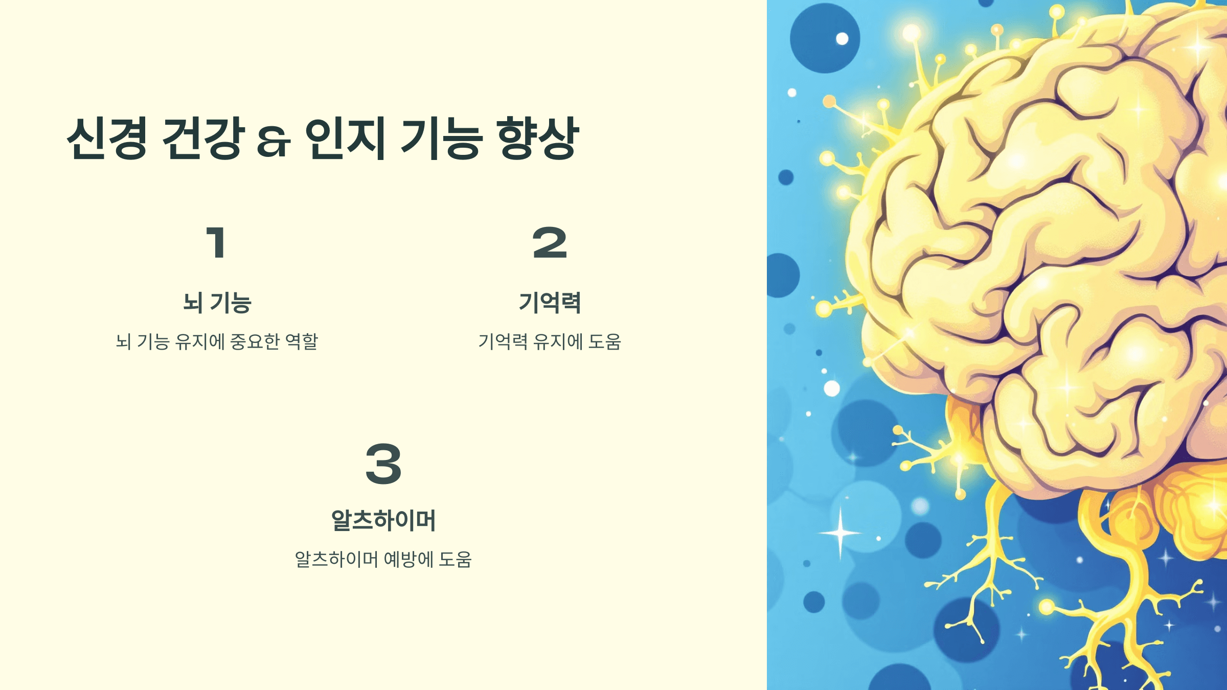 비타민K2와 관련된 사진입니다.
