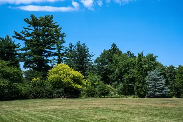 서울대 안양수목원 예약