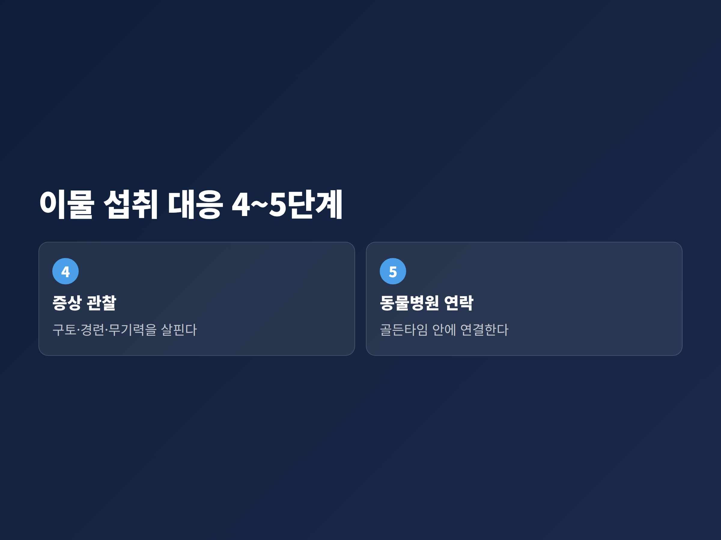 강아지가 이물을 주워 먹었을 때 대응 순서 중 증상 관찰과 병원 연락 단계를 정리한 이미지
