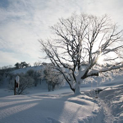 국내 겨울 여행지 추천 평창 양떼목장 여행