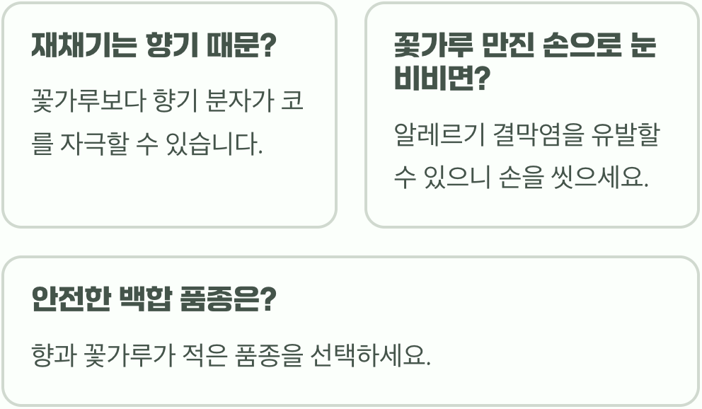 참나리 꽃가루 알레르기, 비염 환자가 키워도 괜찮을까?