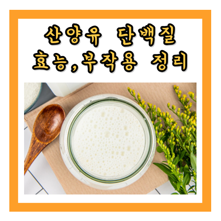 산양유 단백질
