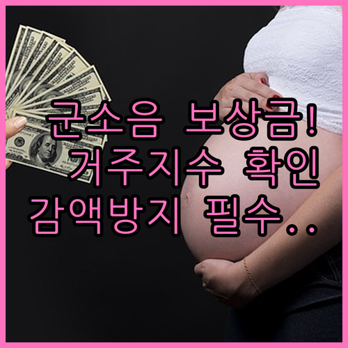 군소음 피해 보상금 거주 기간 지수와..