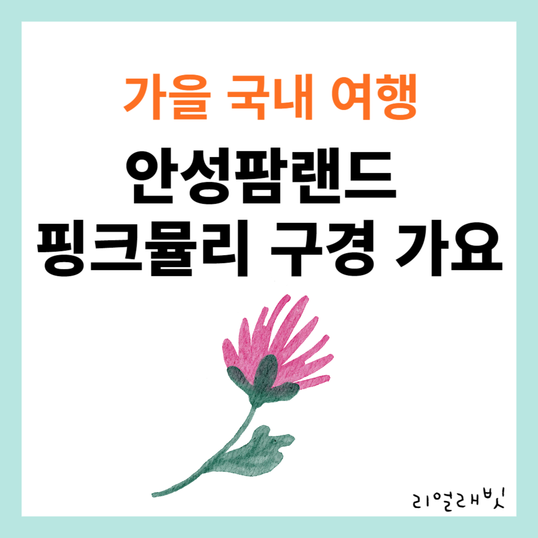 안성팜랜드-핑크뮬리-썸네일