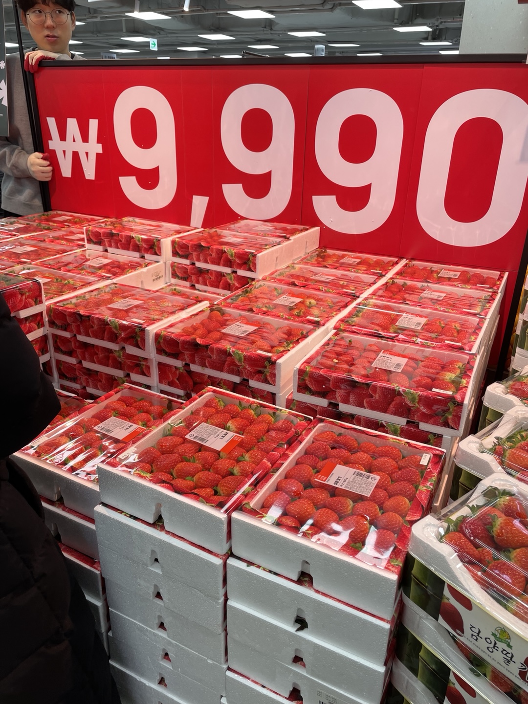 다양한 과일을 진열한 롯데마트 천호점 코너