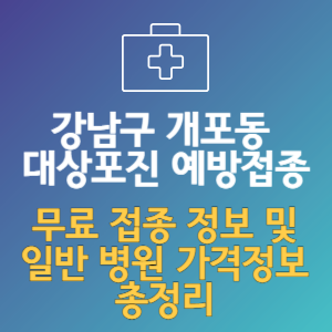 강남구 개포동 대상포진 예방접종_ 보건소 무료 접종과 병원 가격 총정리
