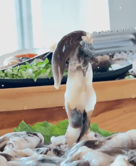 남당리 새조개 축제