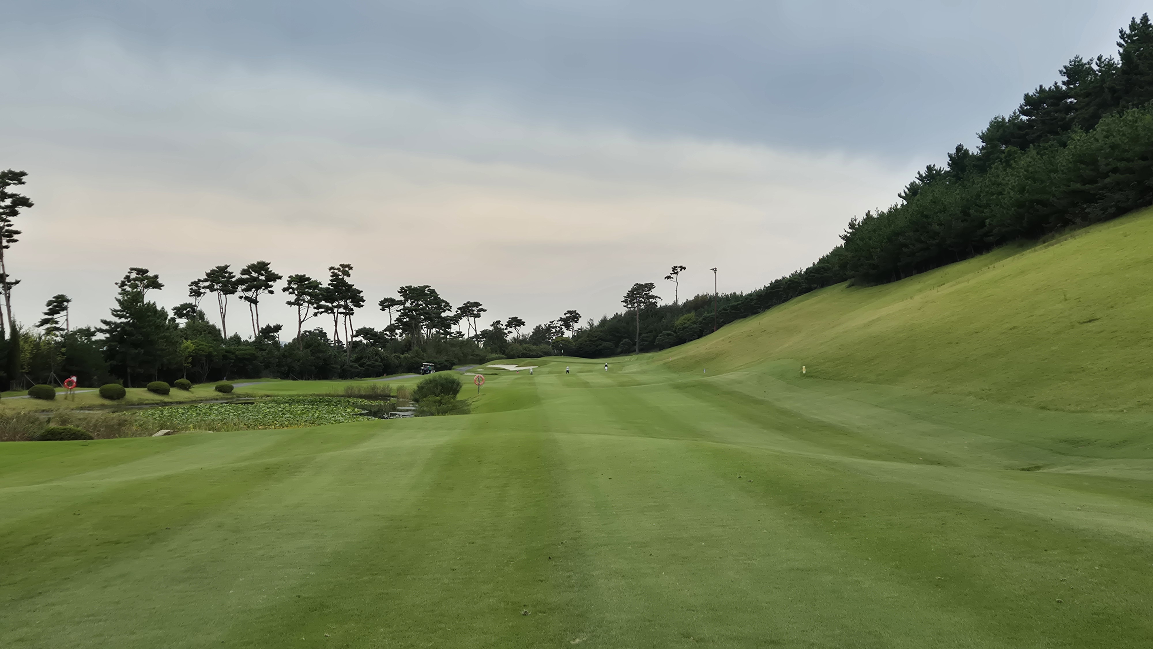 서산수cc 코스 사진 및 공략 정보