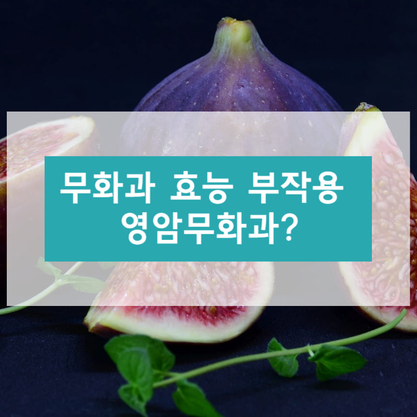 무화과의 효능 부작용 영암무화과?