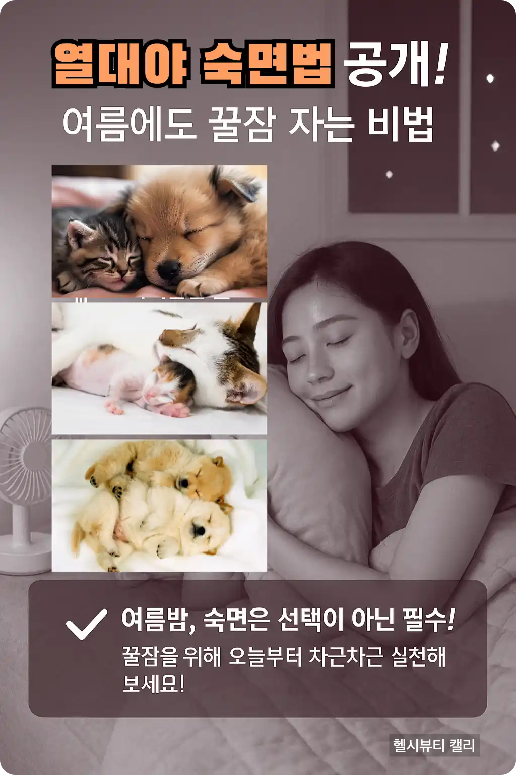 고양이와 강아지가 함께 자는 귀여운 이미지들과 함께 밤에 편안히 자는 여성 모습이 담긴 인포그래픽. 여름 숙면 루틴 강조 문구 포함
