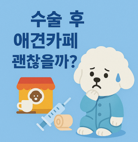 강아지 중성화 수술