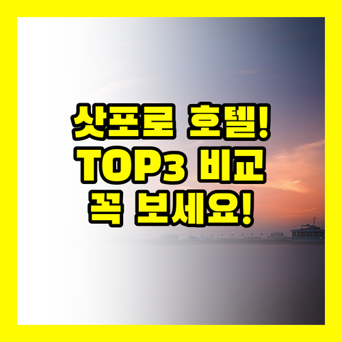 바로 확인하세요 2024년 삿포로 호..