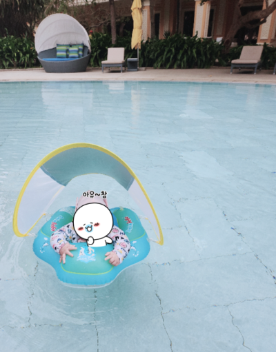 풀장에서 수영하는 홍시