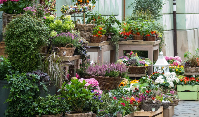 소상공인-새출발기금