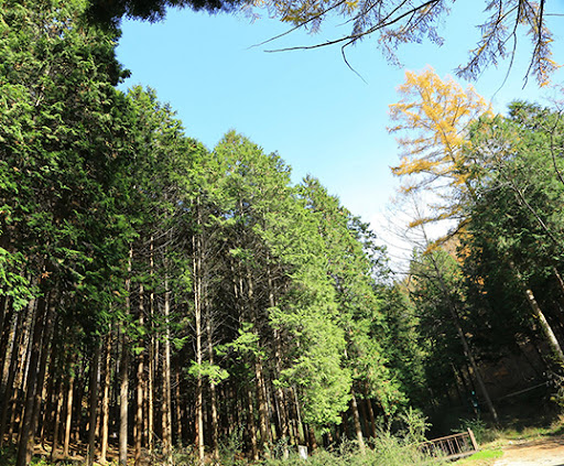 임실 가볼만한곳 베스트10