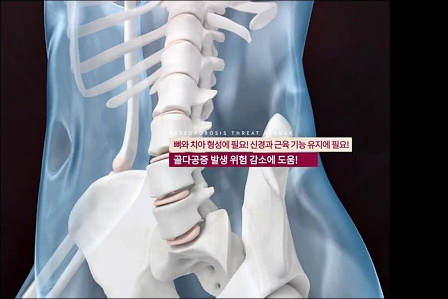 천관보 가격 효과 핵심정리