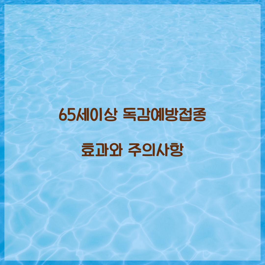 65세이상 독감예방접종