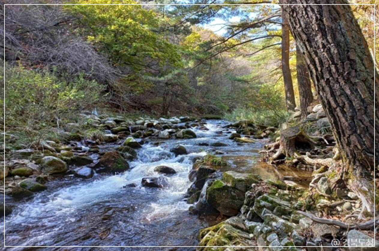 봉화 가볼만한곳 베스트10 백천계곡