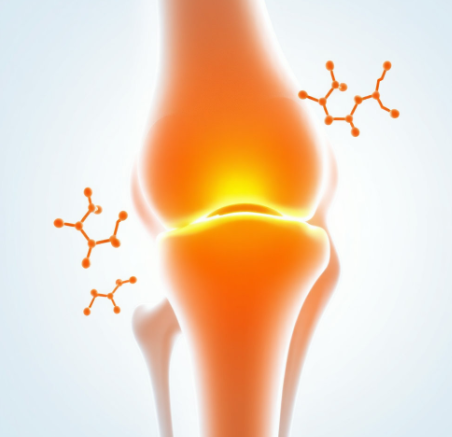 손가락-관절에-좋은-영양제-후기-추천