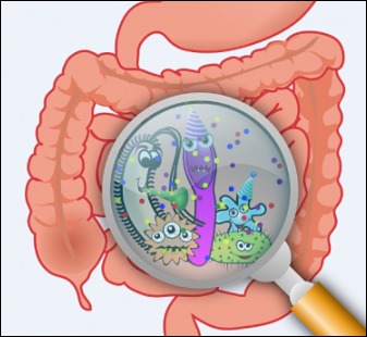 변비에 좋은 음식 12