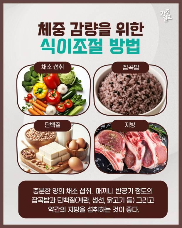 근손실 없이 지방만 태우는 커팅 식단 가이드 식이조절가이드종류