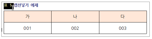 한글 캡션 설정 표번호 그림번호