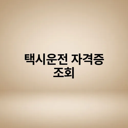 택시운전 자격증 조회