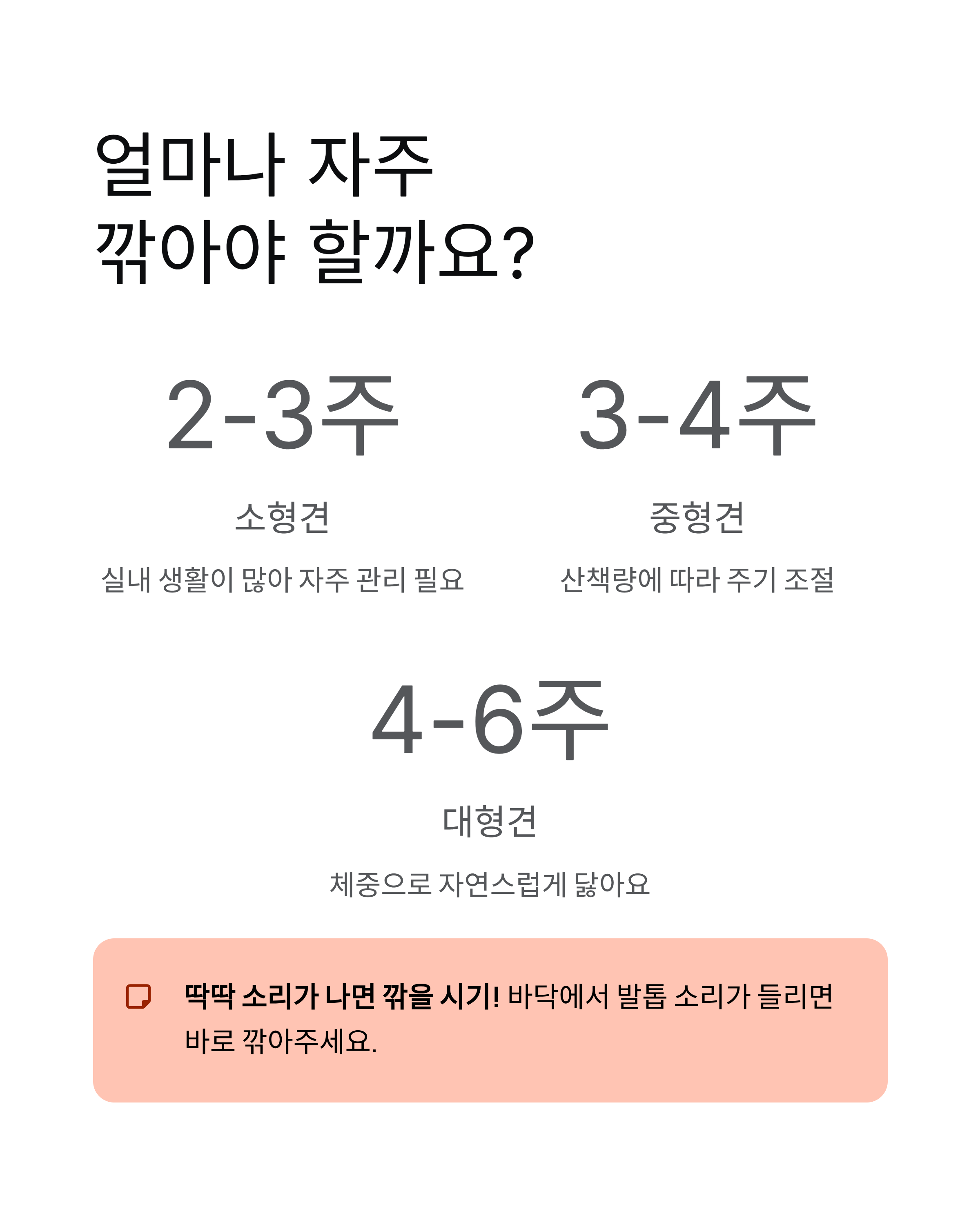 강아지 발톱깎기 ❘ 방법 주기 혈관 지혈 집에서 안전하게 자르는법 총정리