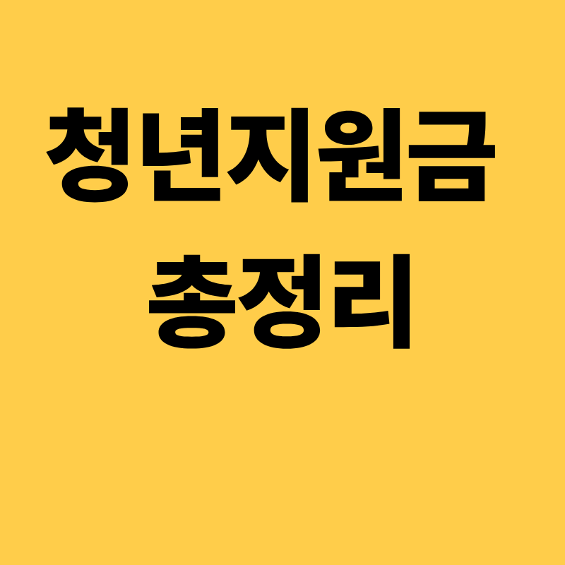 청년지원금 총정리