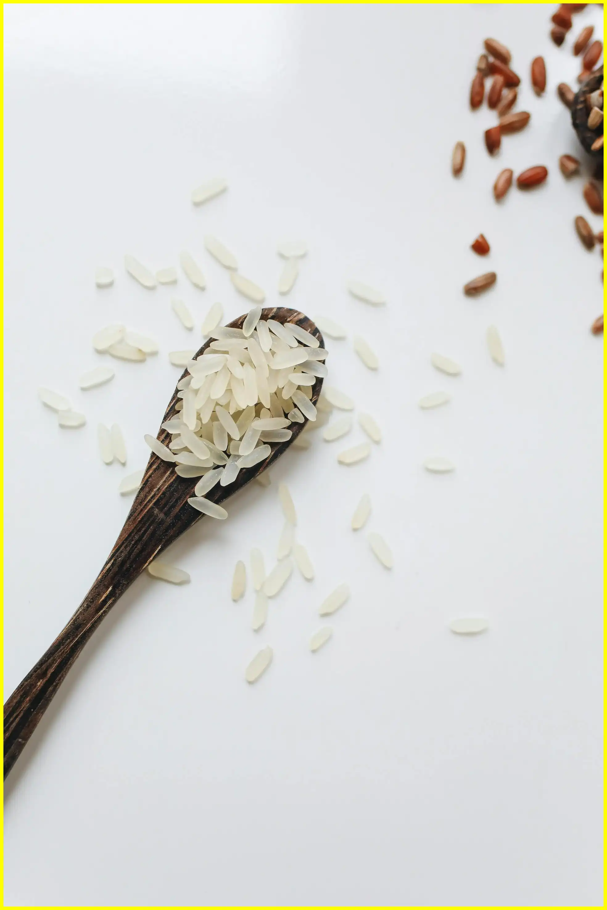 우리쌀 우리술 k-라이스페스타 일정 및 사전등록 무료관람 꿀팁