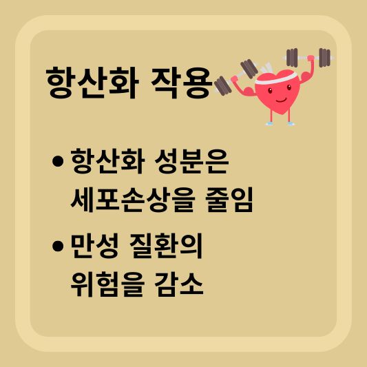 항산화 작용