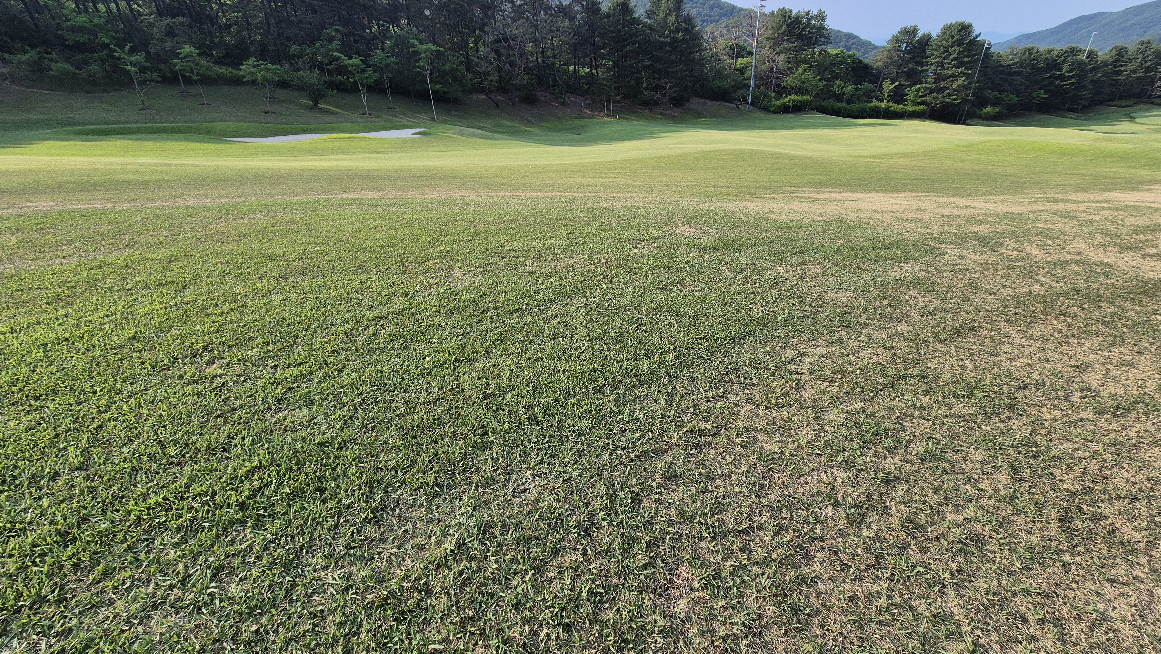 이포cc 라운드 후기