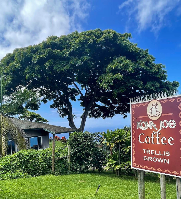 빅아일랜드-코나-커피-농장-입구-사진