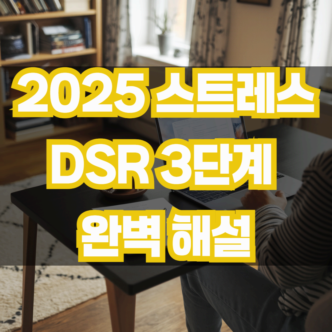 2025 스트레스 DSR 3단계 완벽 해설