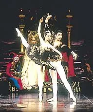 산림기능사 전망_1