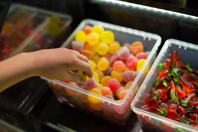 "밴 라이프에서 가장 중요한 물품 10가지"