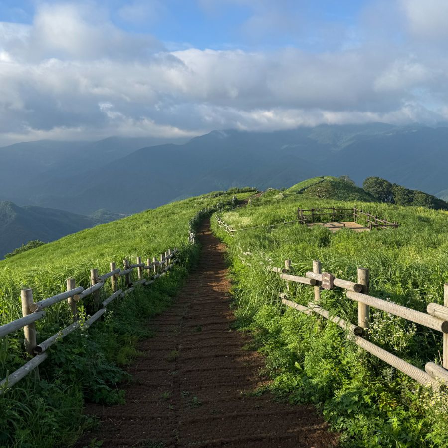민둥산