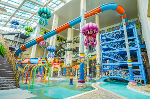 웅진플레이도시