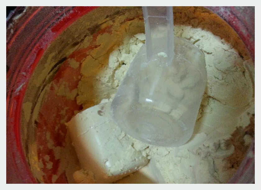 나우푸드 피 프로틴