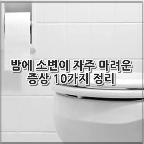 밤에 소변이 자주 마려운 증상 10가지 정리