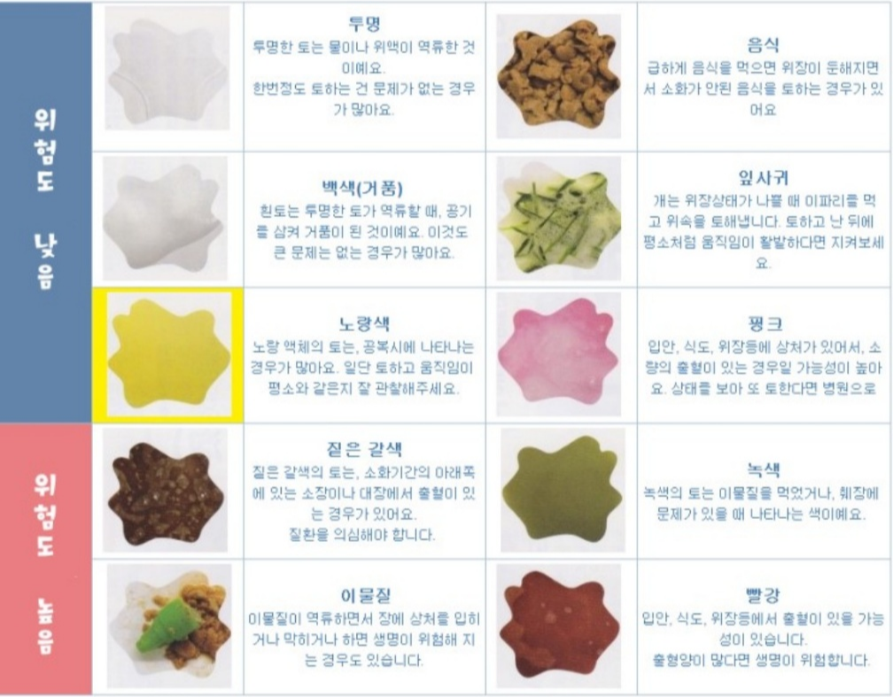 강아지 토 색깔로 보는 위험도