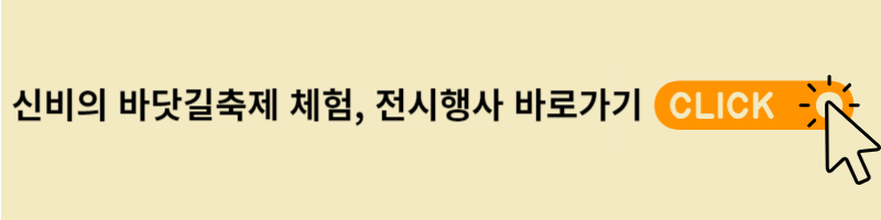 체험프로그램 바로가기
