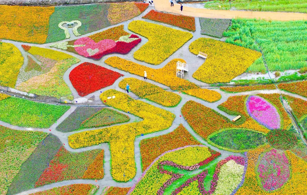 고창 꽃정원