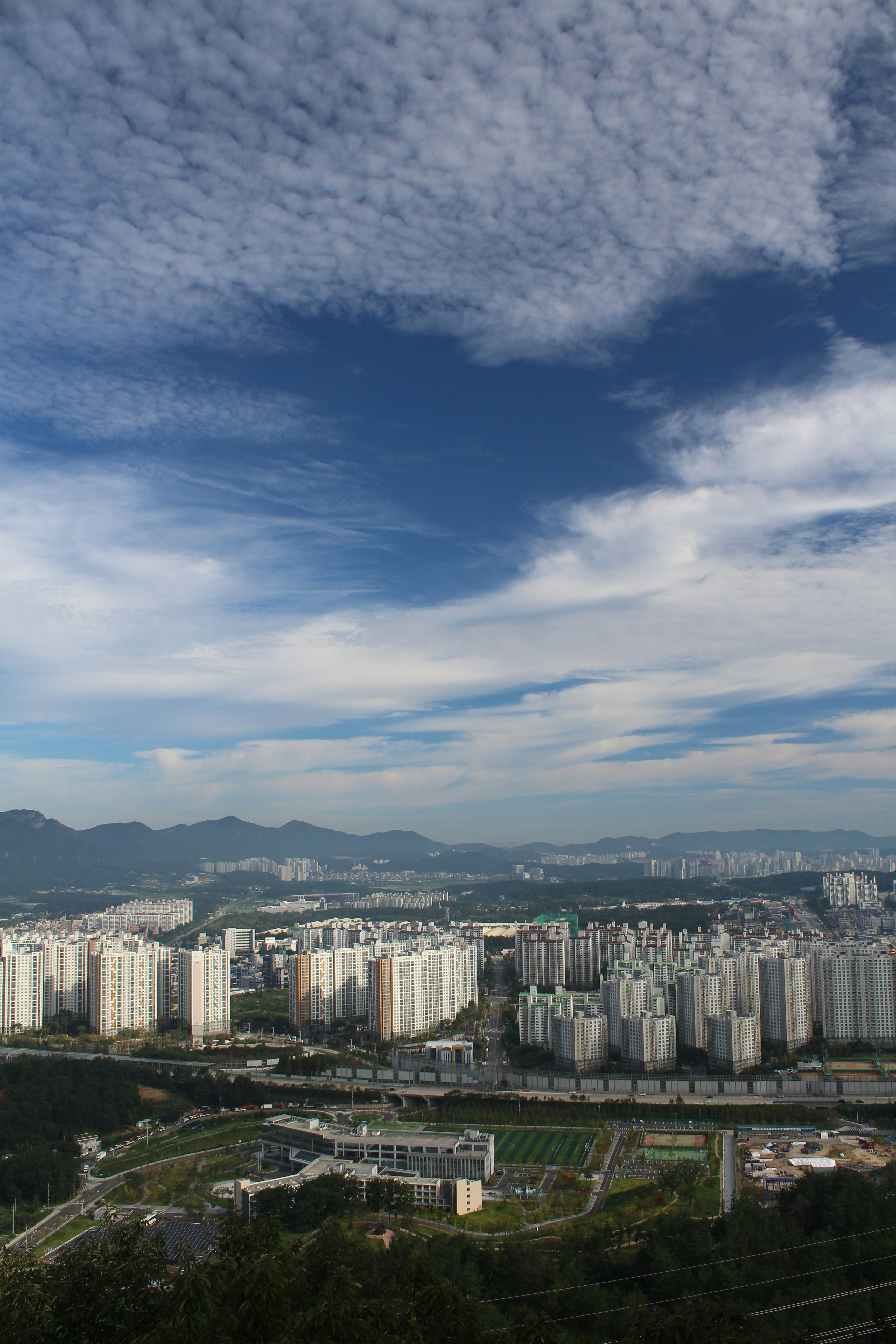 대전 엑스포과학공원 주차장 안내|요금·혼잡 시간 정리
