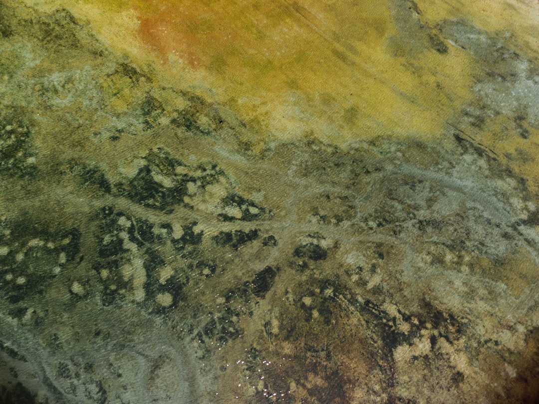 Mold.